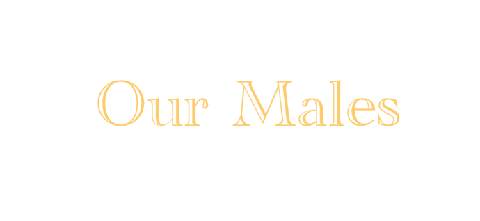 Our Males